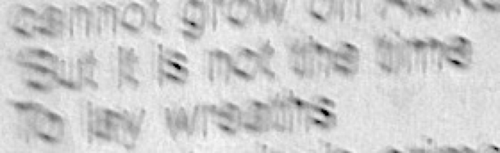 The passage, as printed