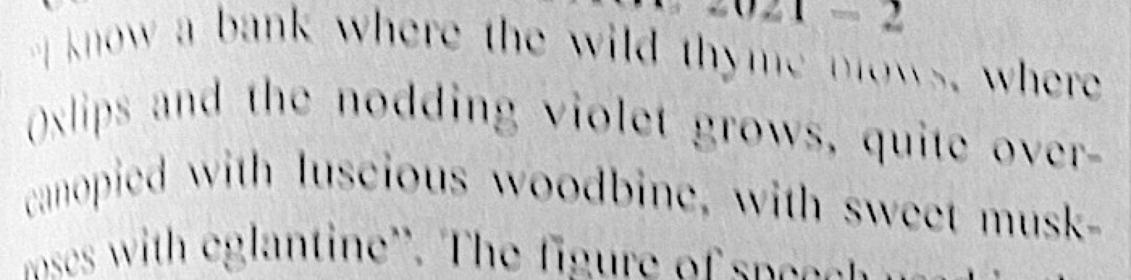 The passage, as printed