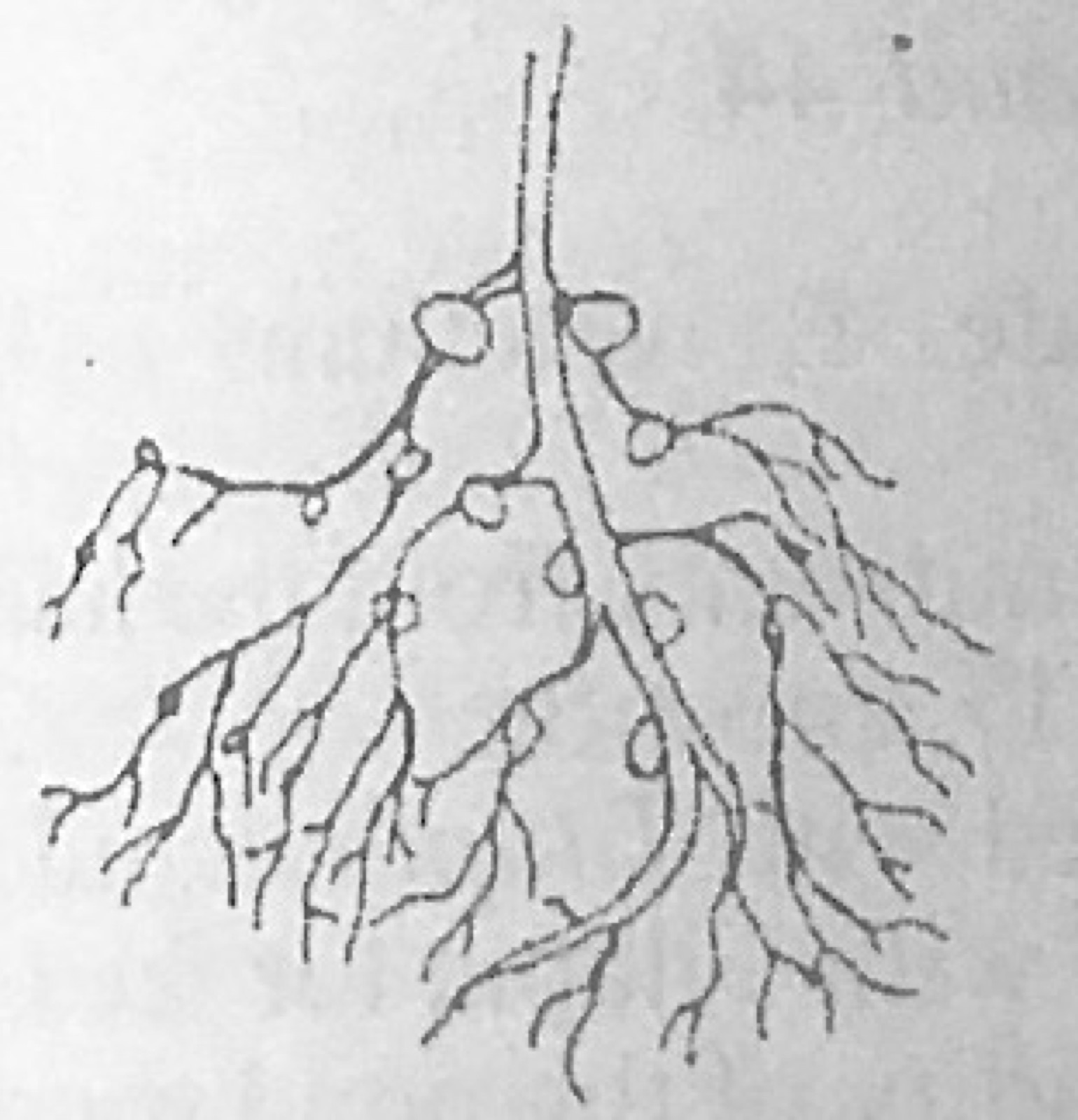 Diagram for this question