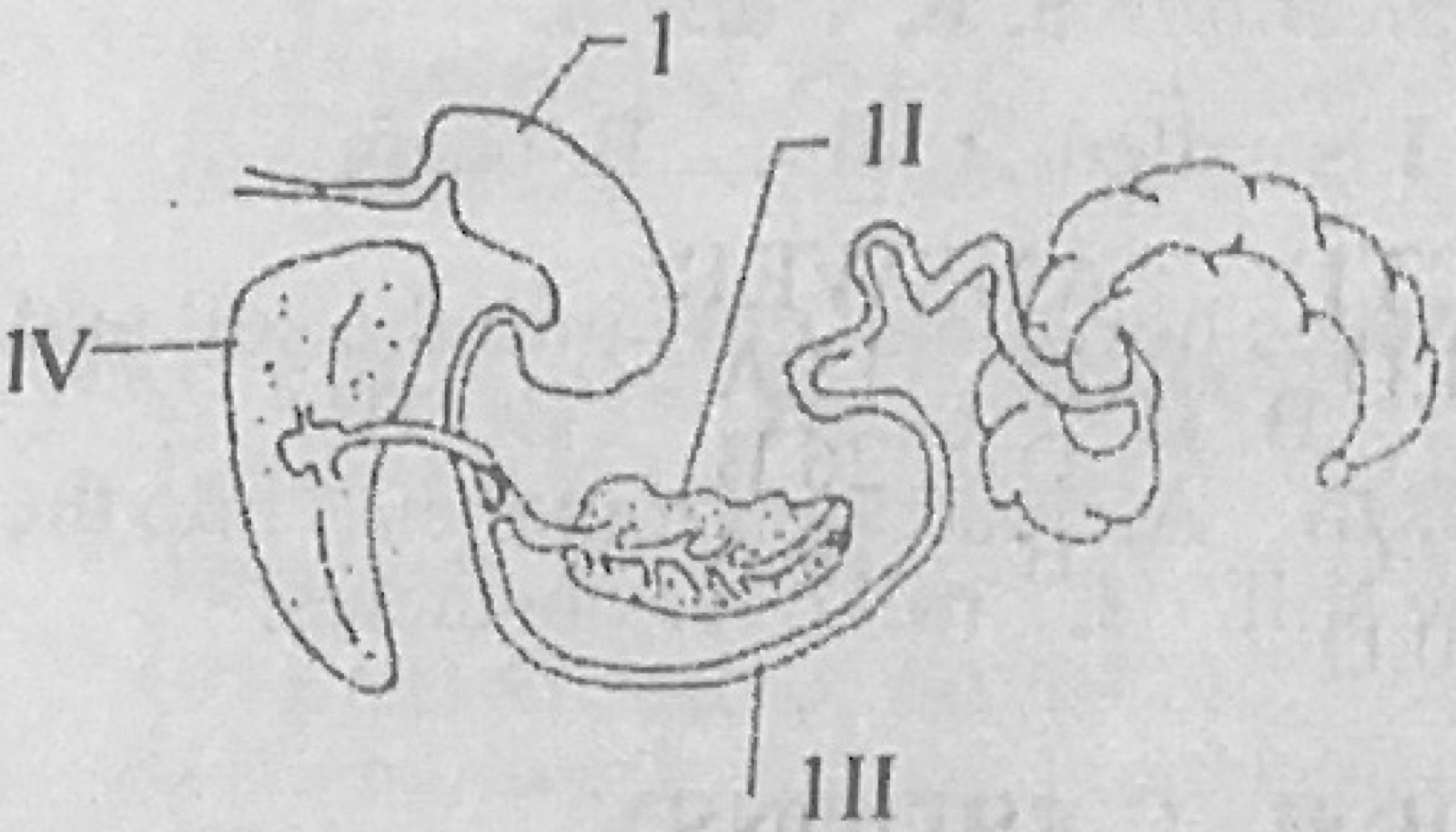 Diagram for this question