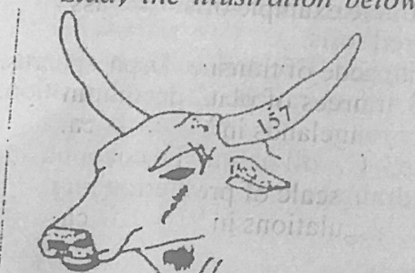 Diagram for this question