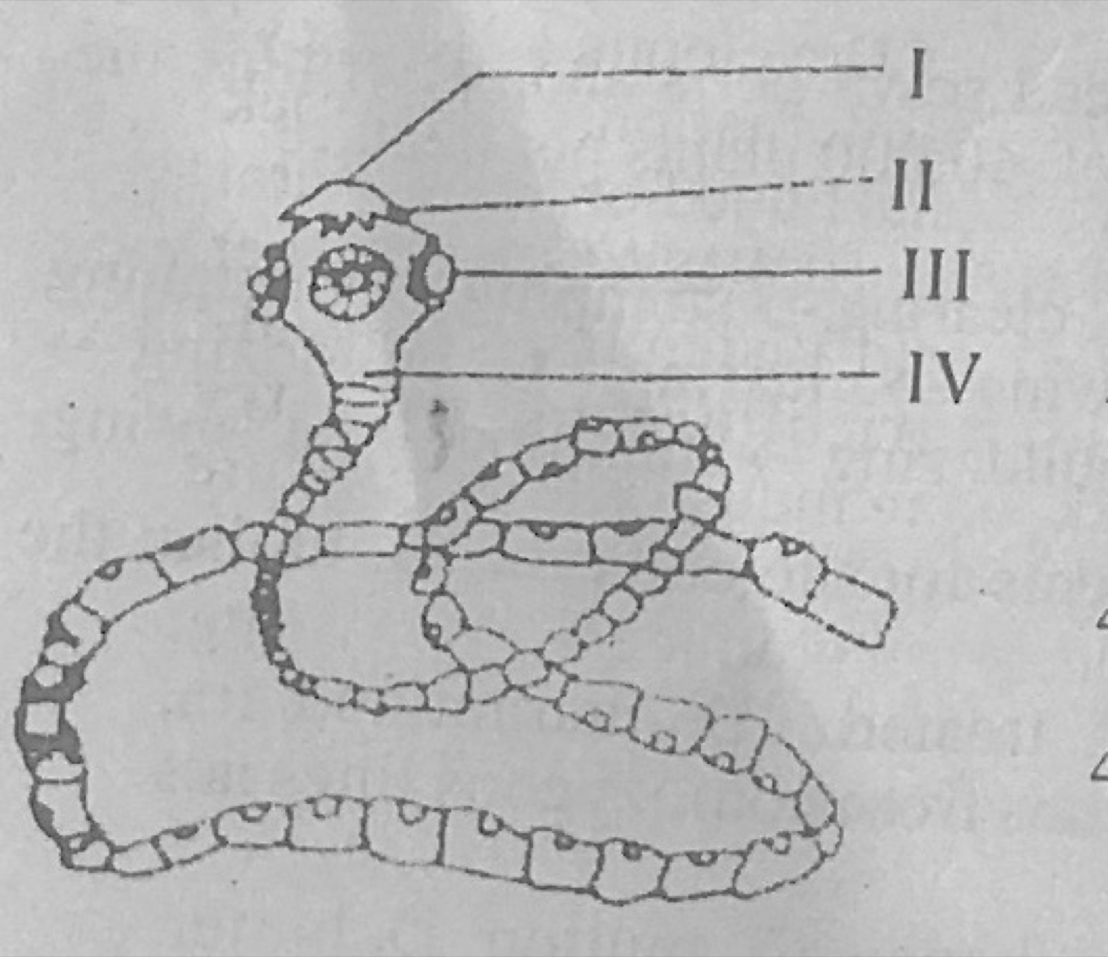 Diagram for this question