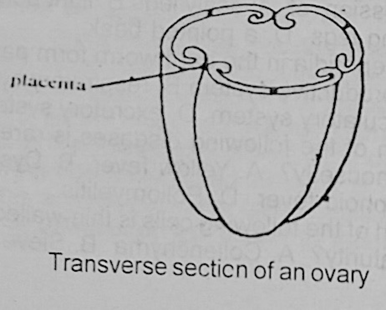 Diagram for this question