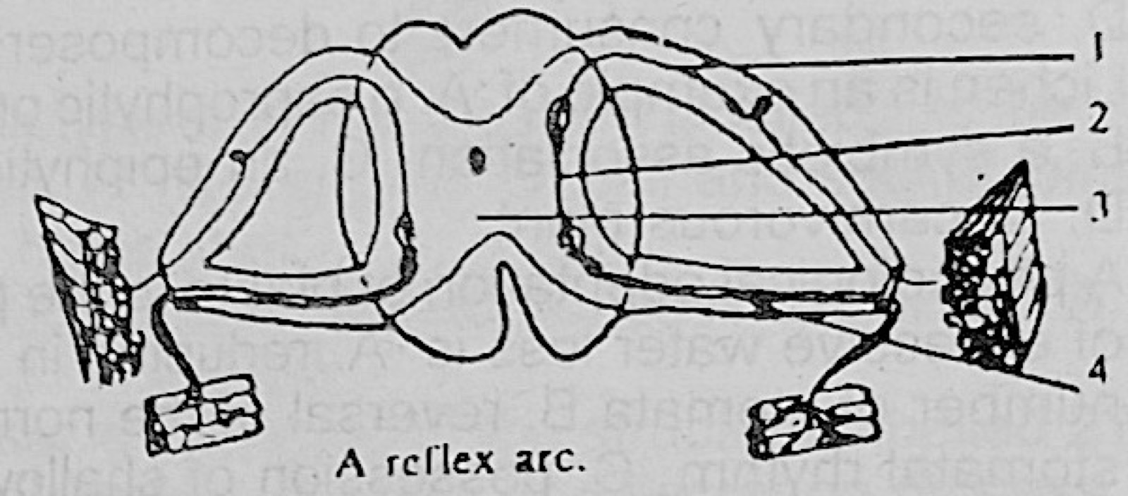 Diagram for this question