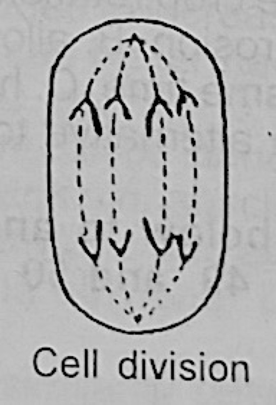 Diagram for this question
