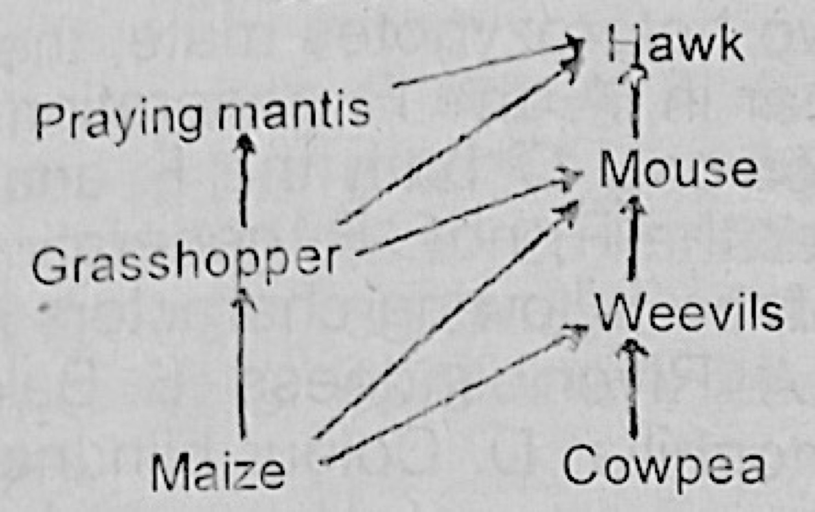 Diagram for this question