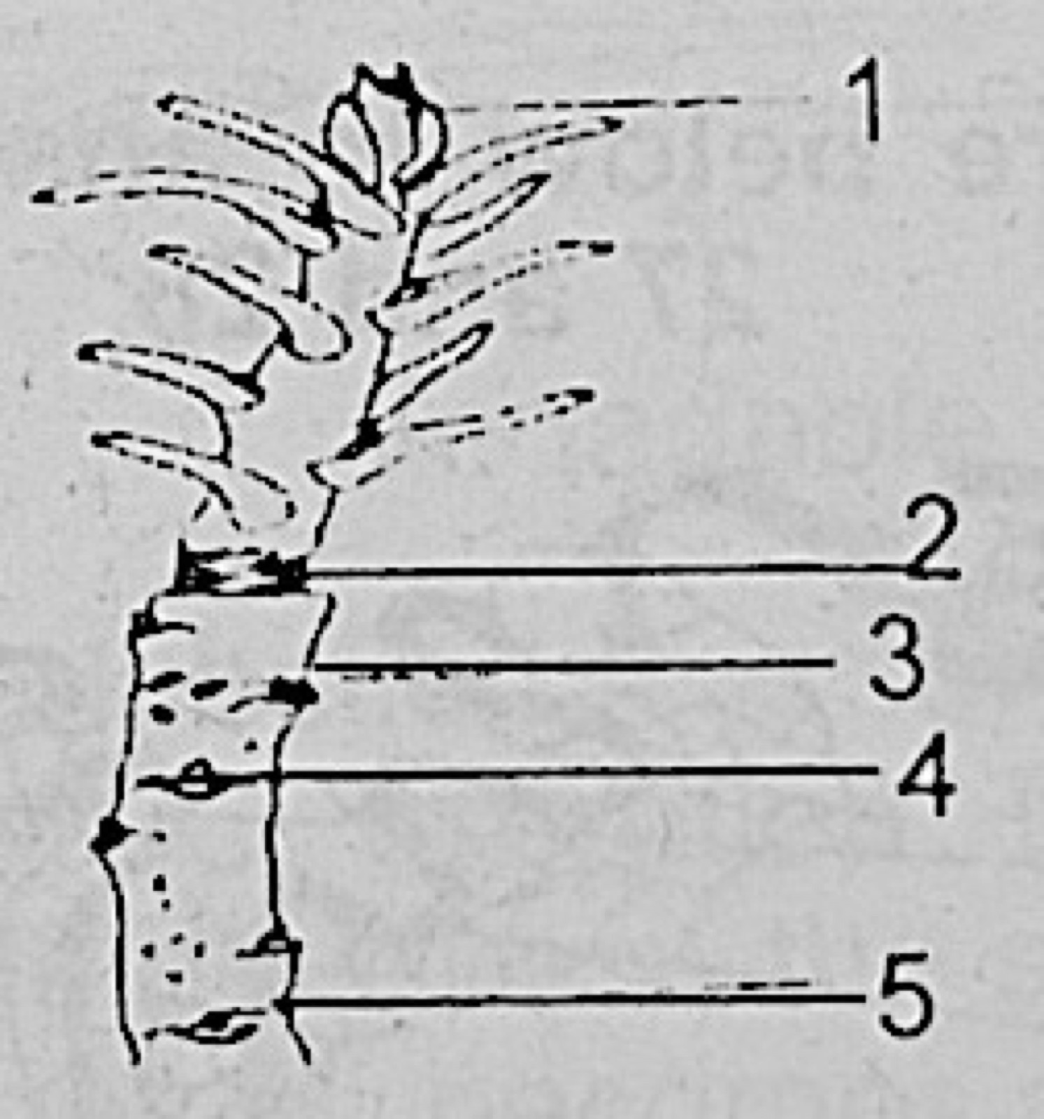 Diagram for this question
