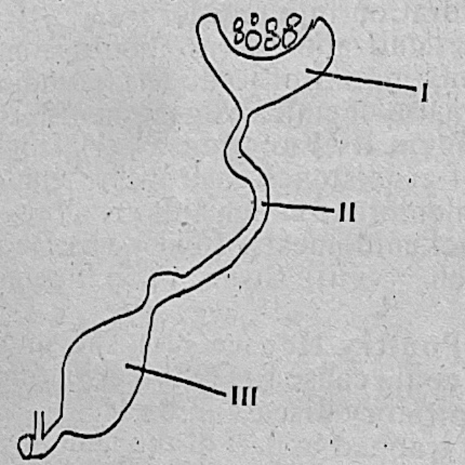Diagram for this question