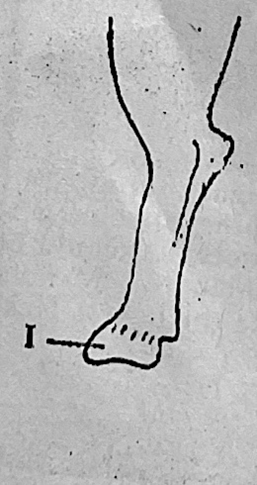 Diagram for this question