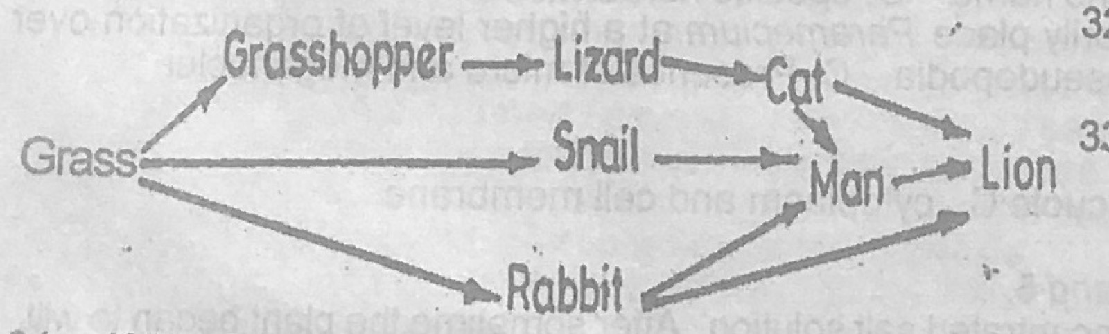 Diagram for this question