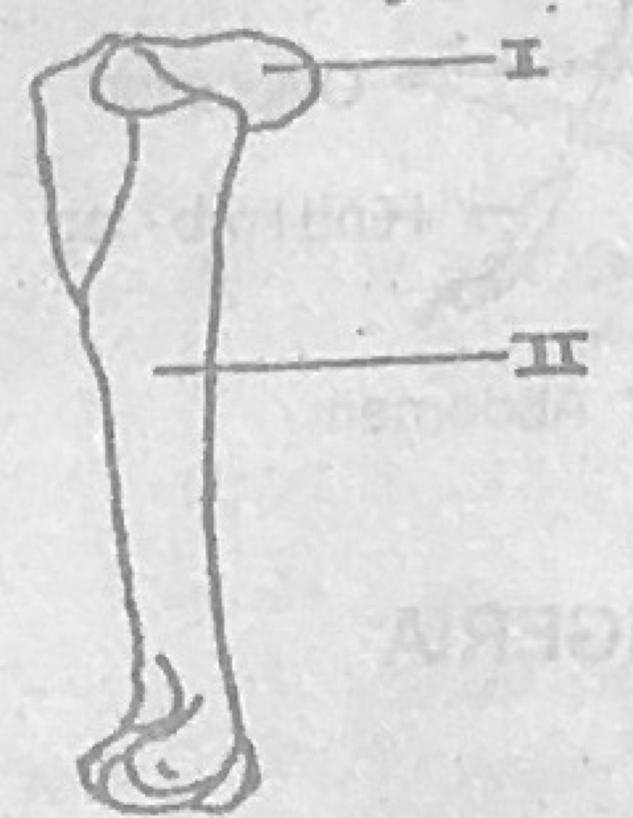 Diagram for this question