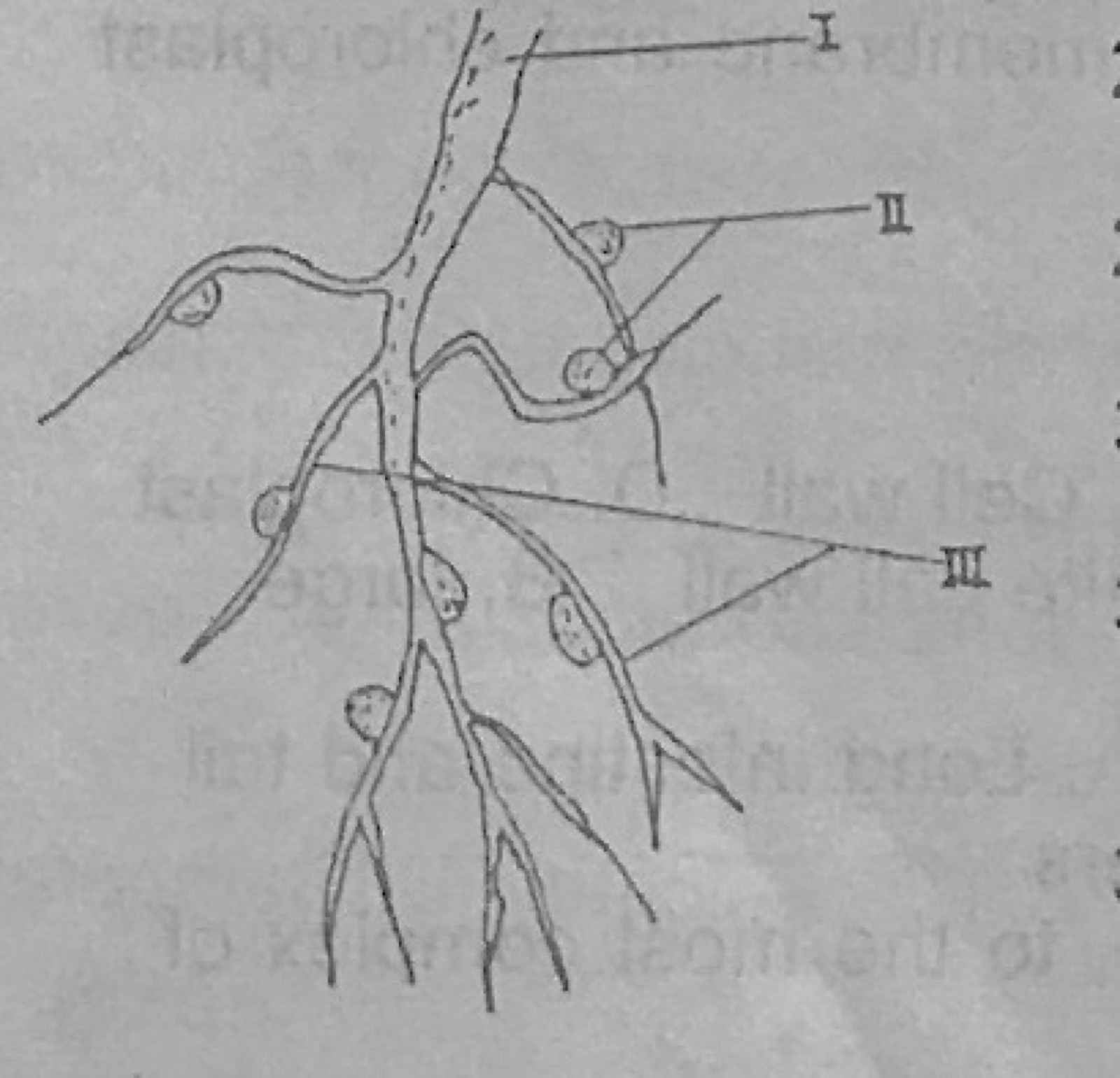 Diagram for this question