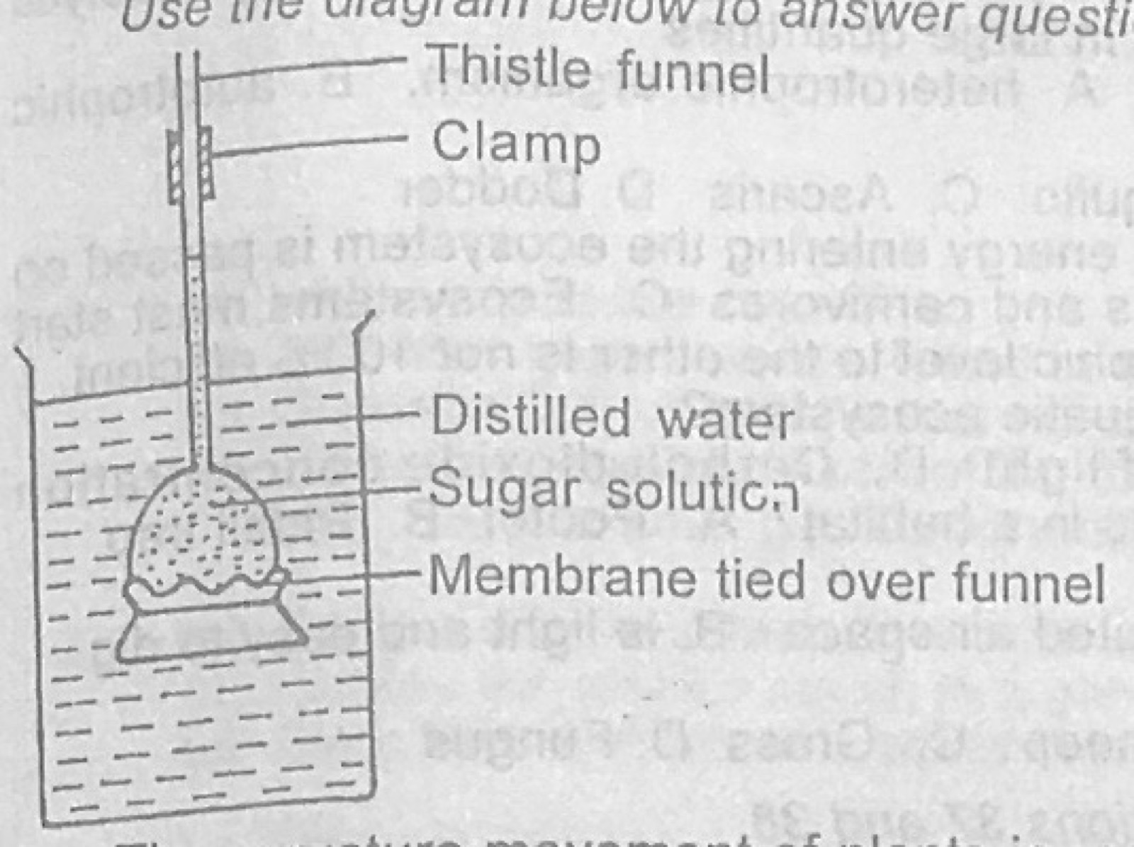 Diagram for this question