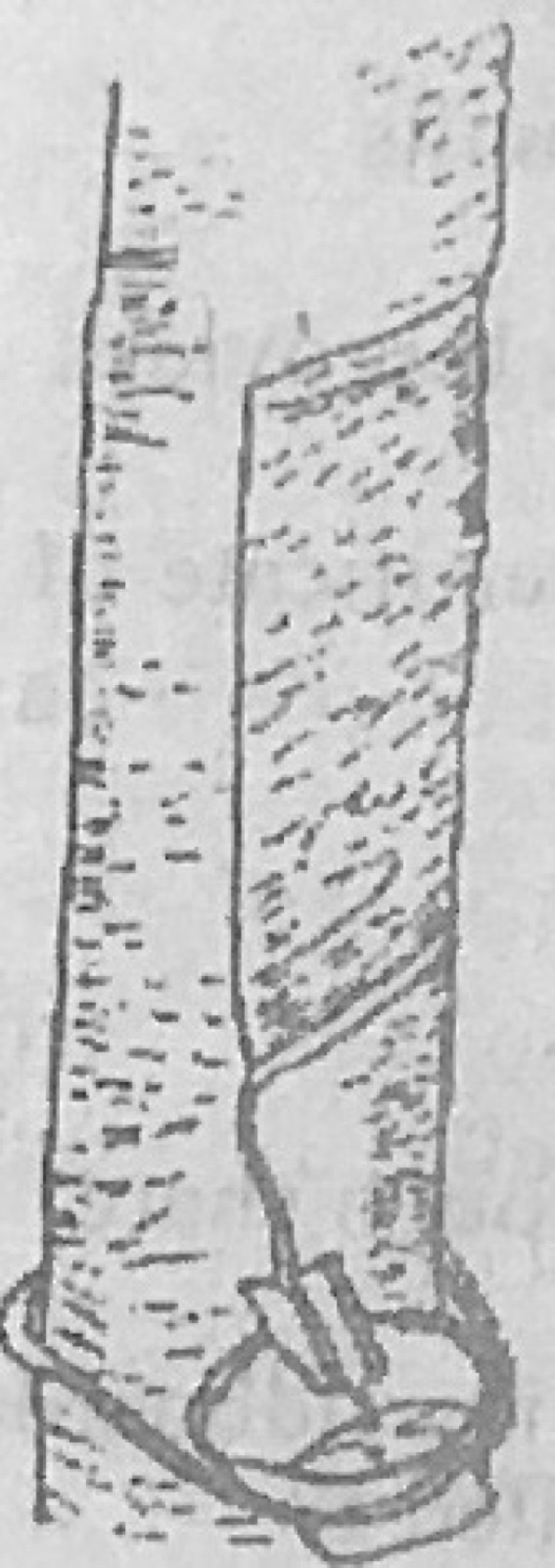 Diagram for this question