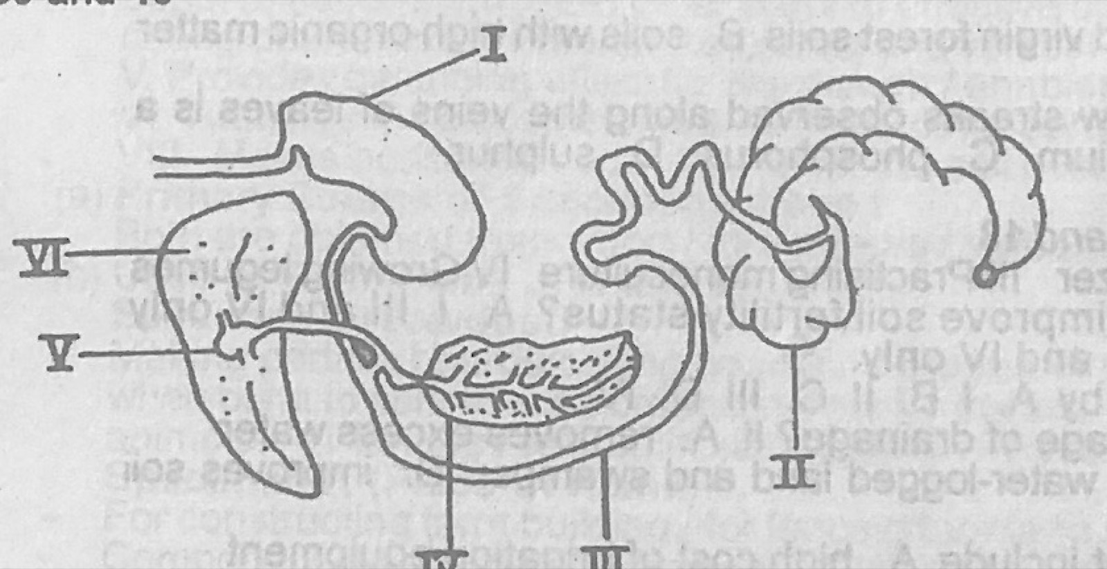 Diagram for this question