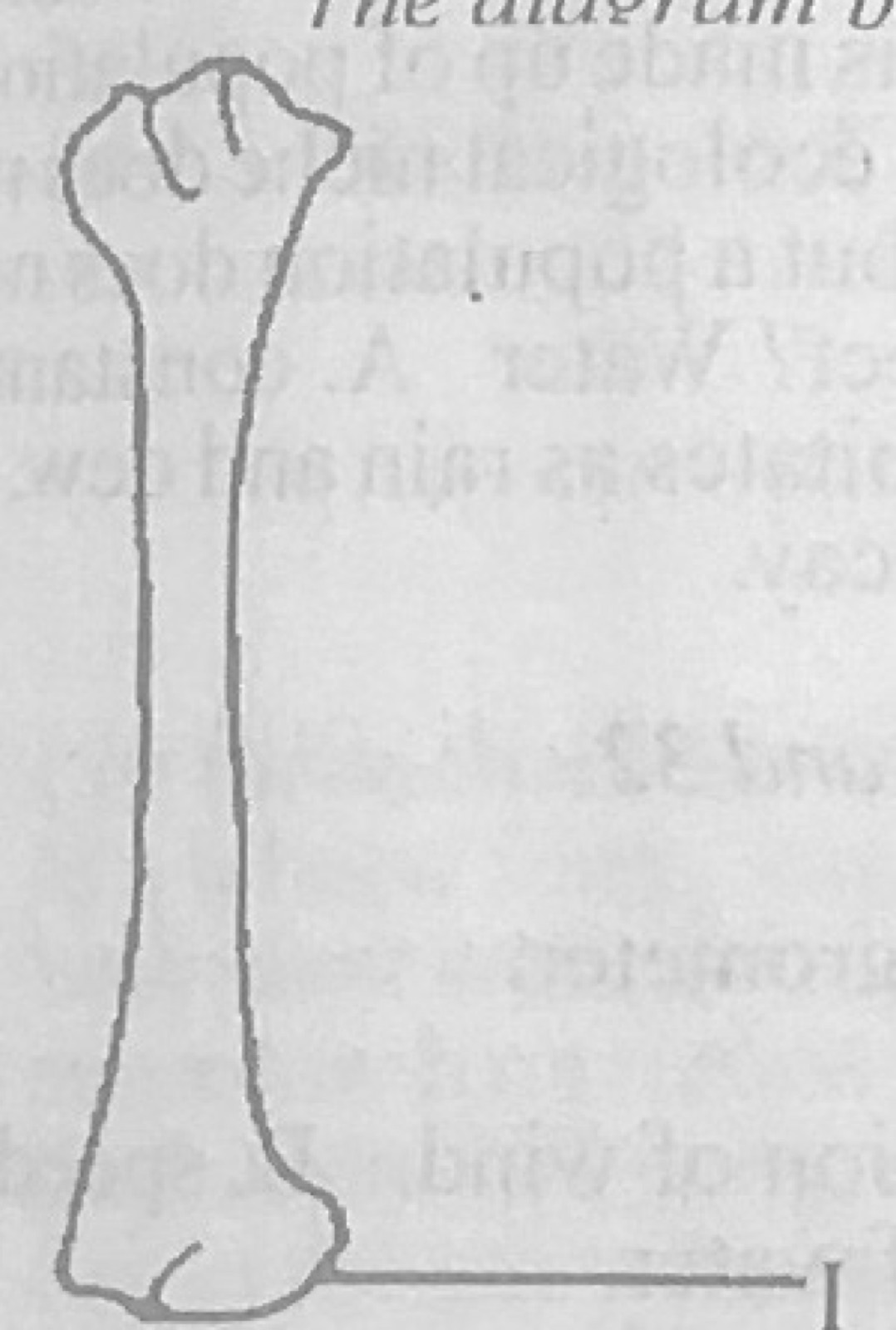 Diagram for this question