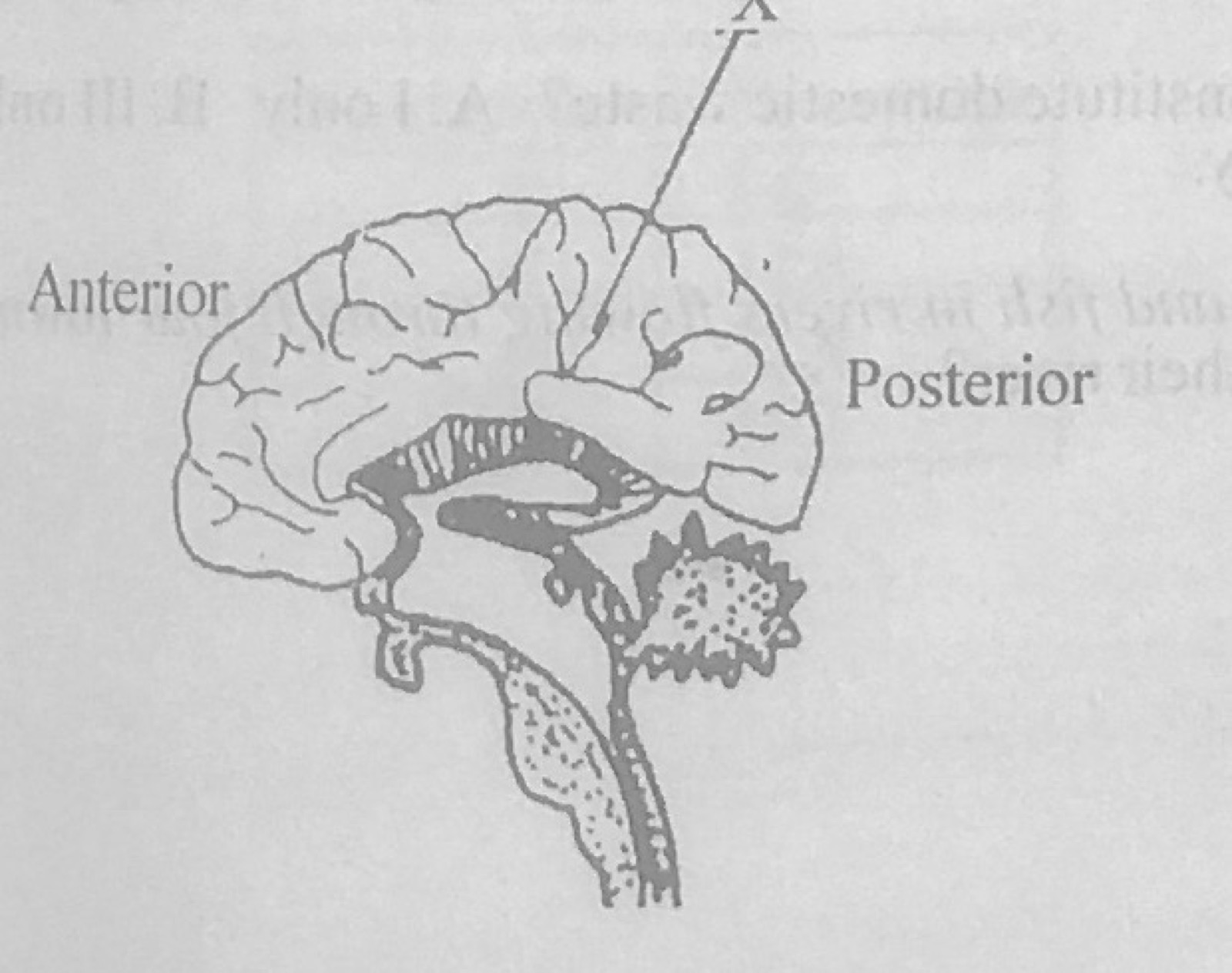 Diagram for this question