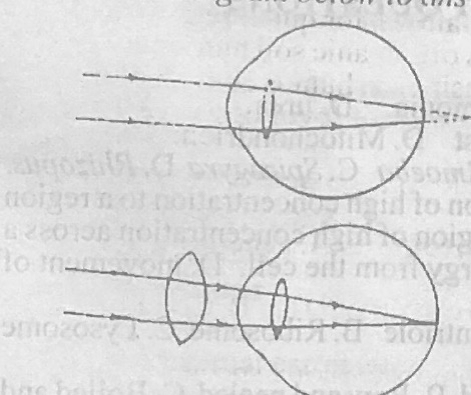 Diagram for this question