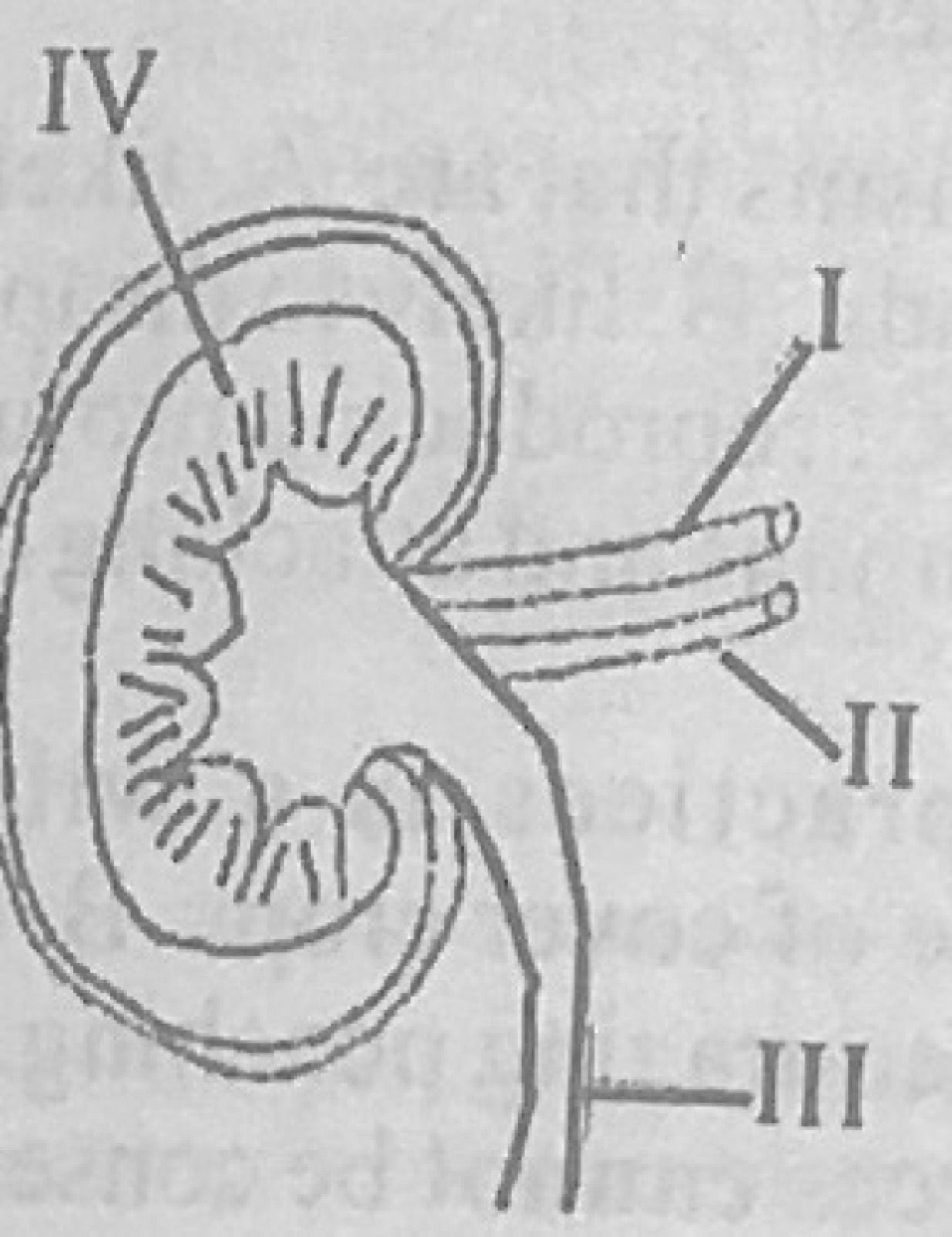 Diagram for this question