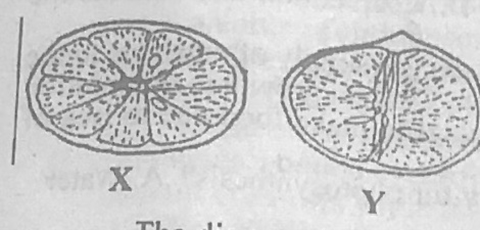 Diagram for this question