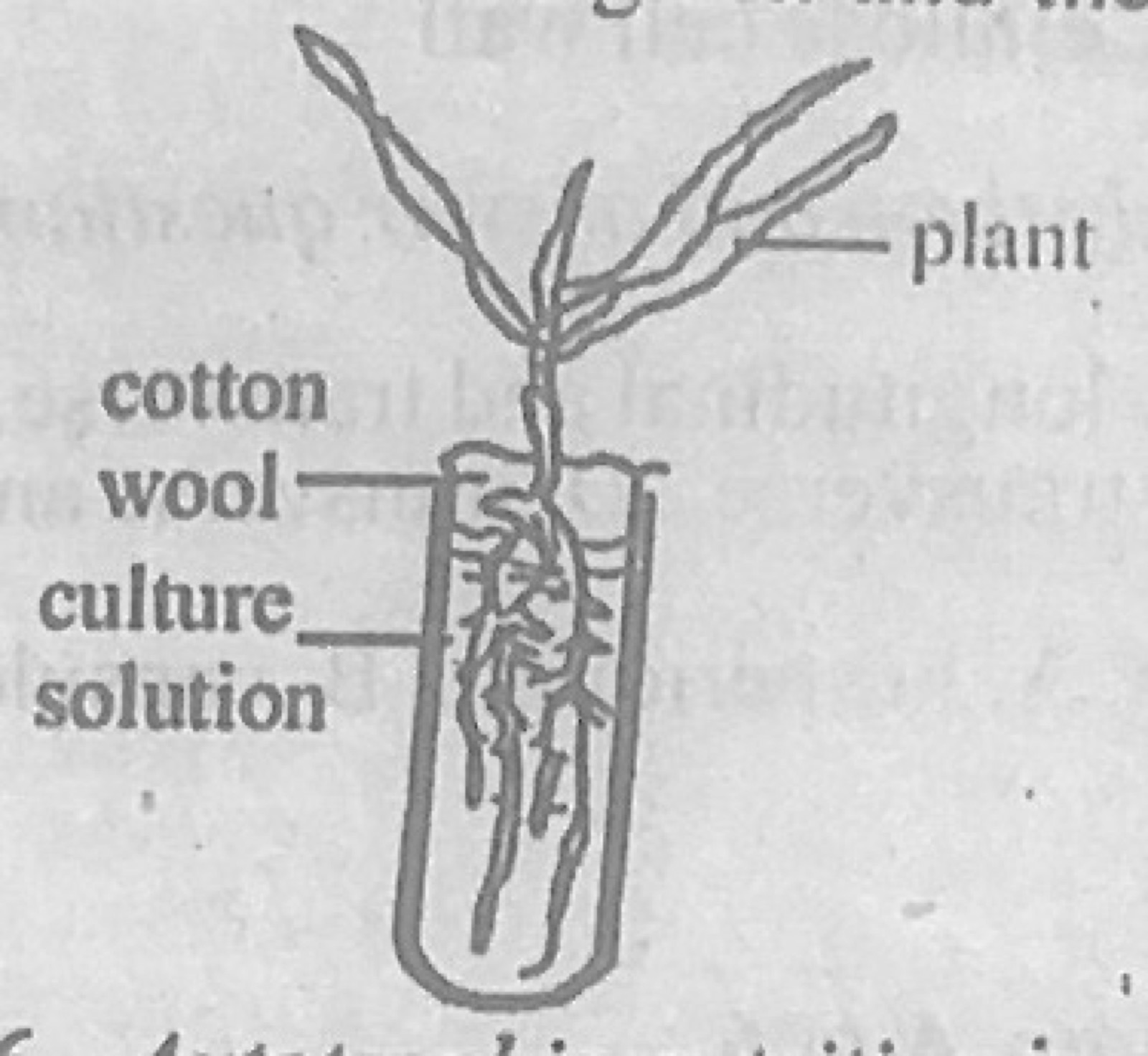 Diagram for this question