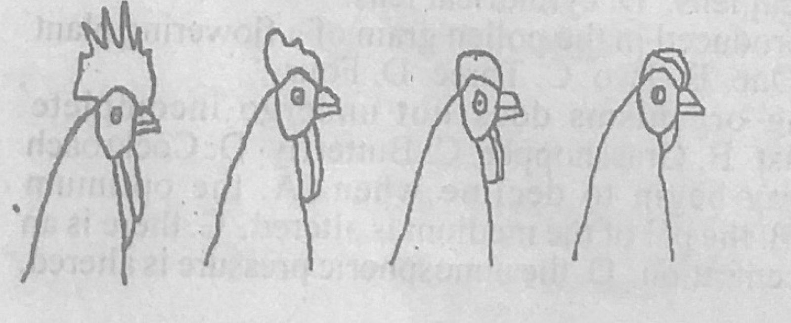 Diagram for this question