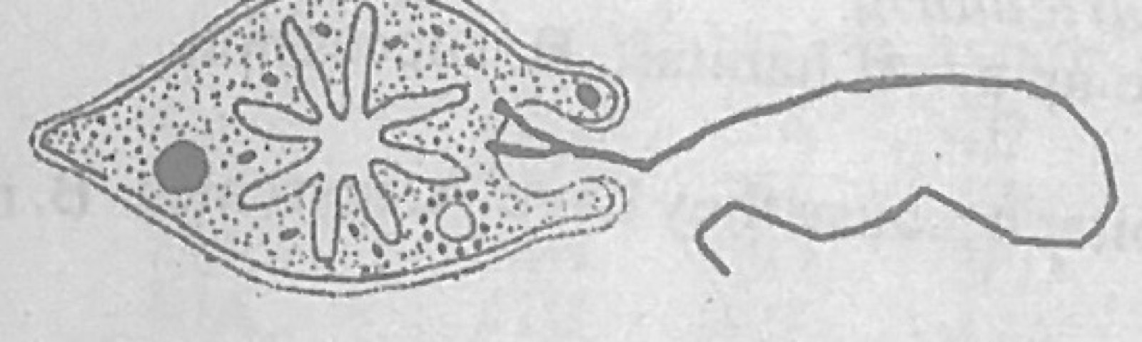 Diagram for this question