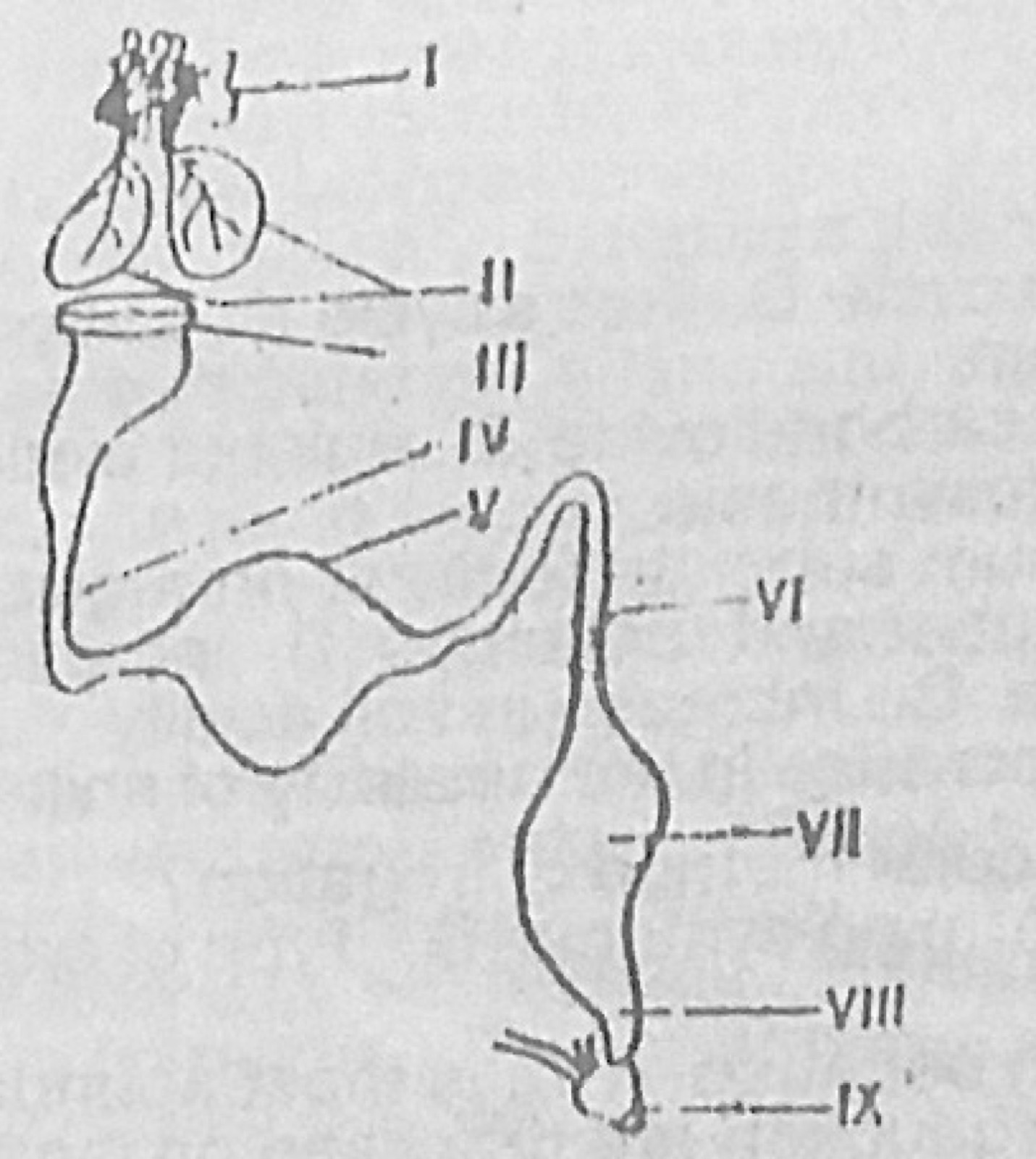 Diagram for this question