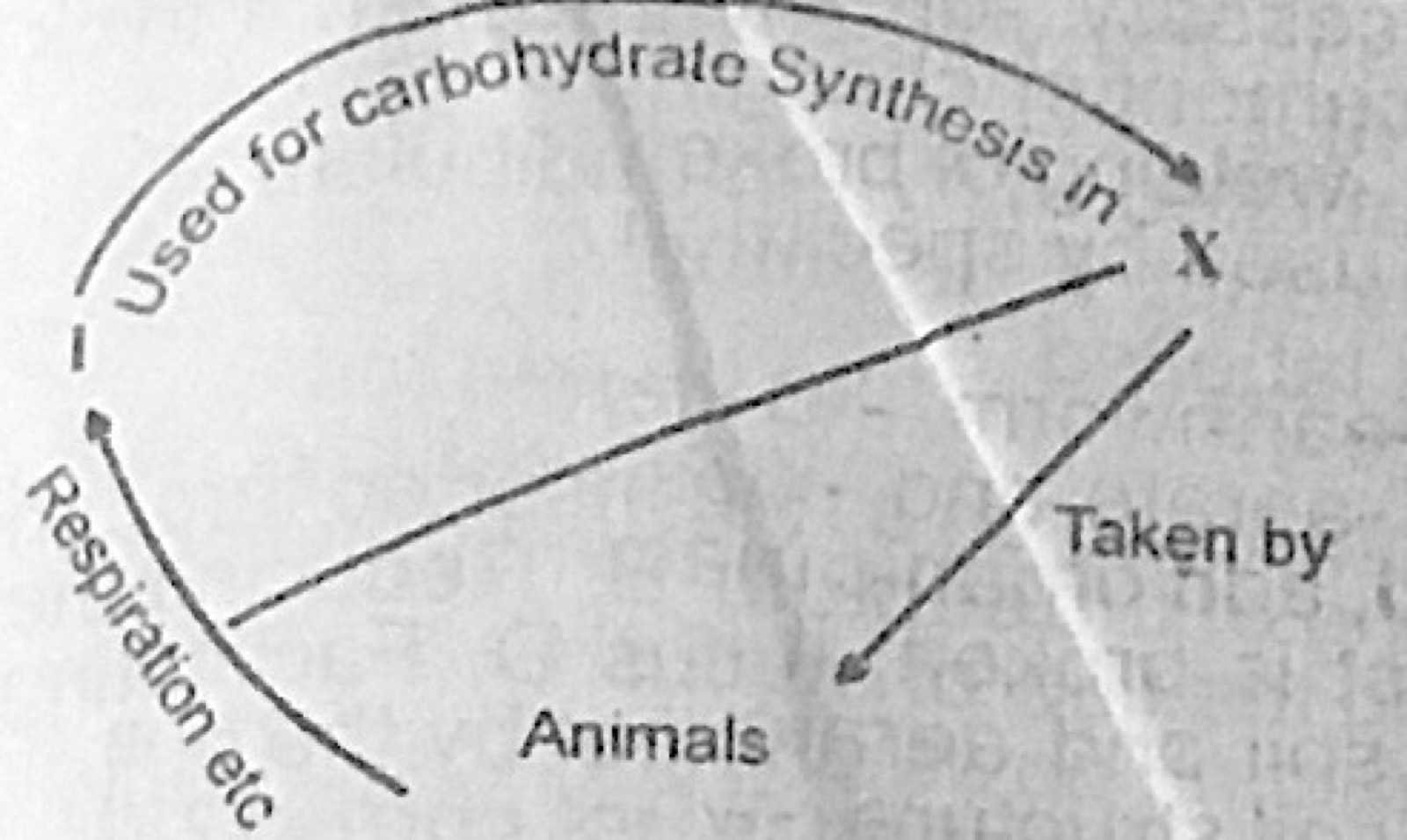 Diagram for this question
