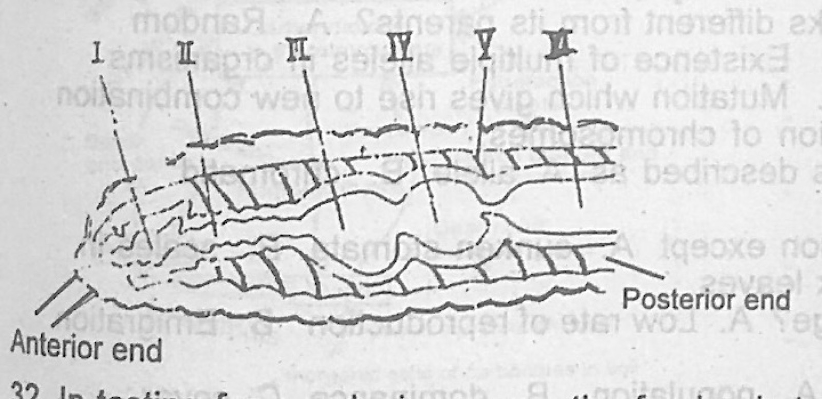 Diagram for this question