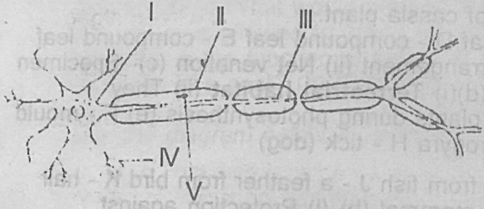 Diagram for this question