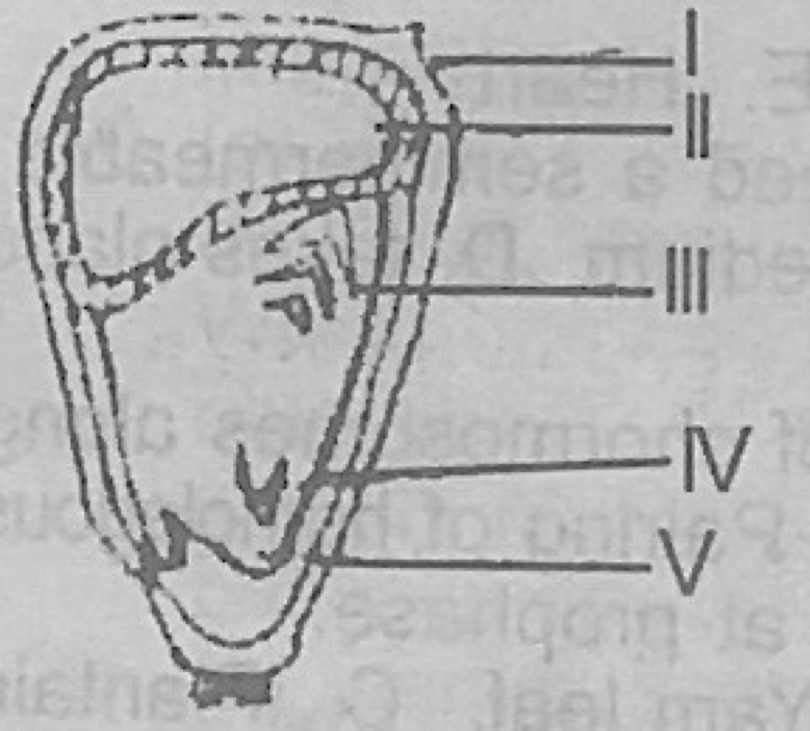 Diagram for this question