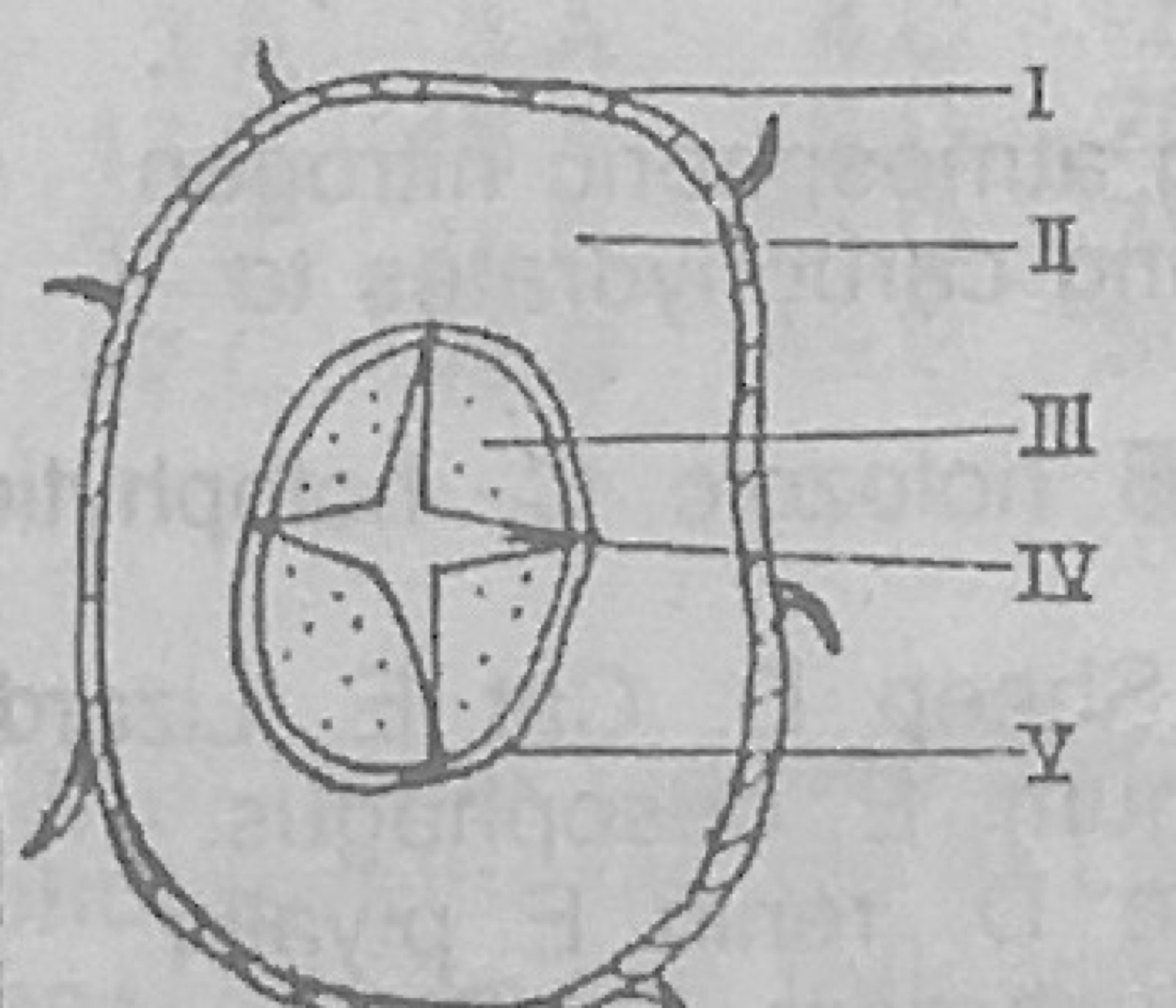 Diagram for this question