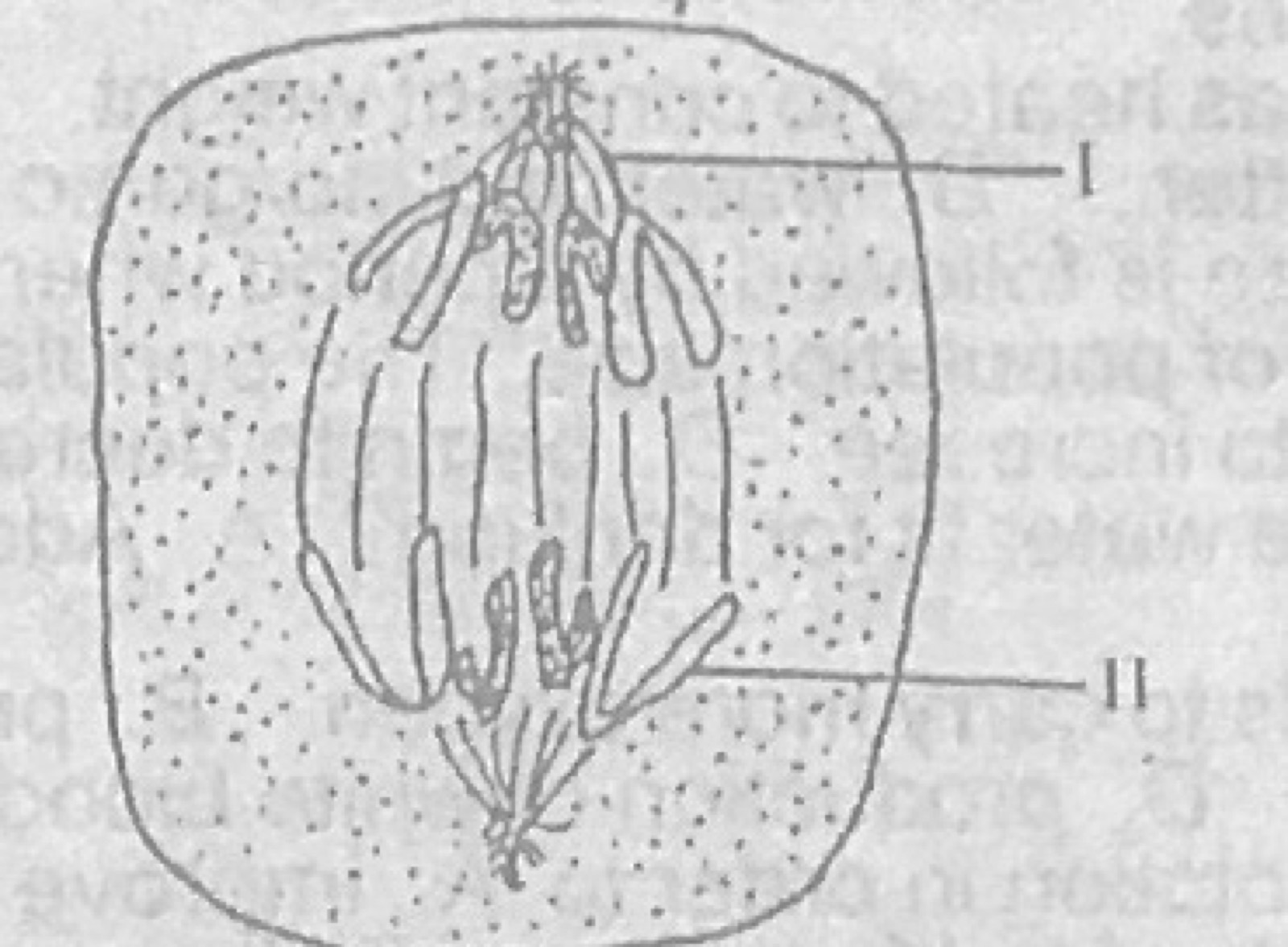 Diagram for this question