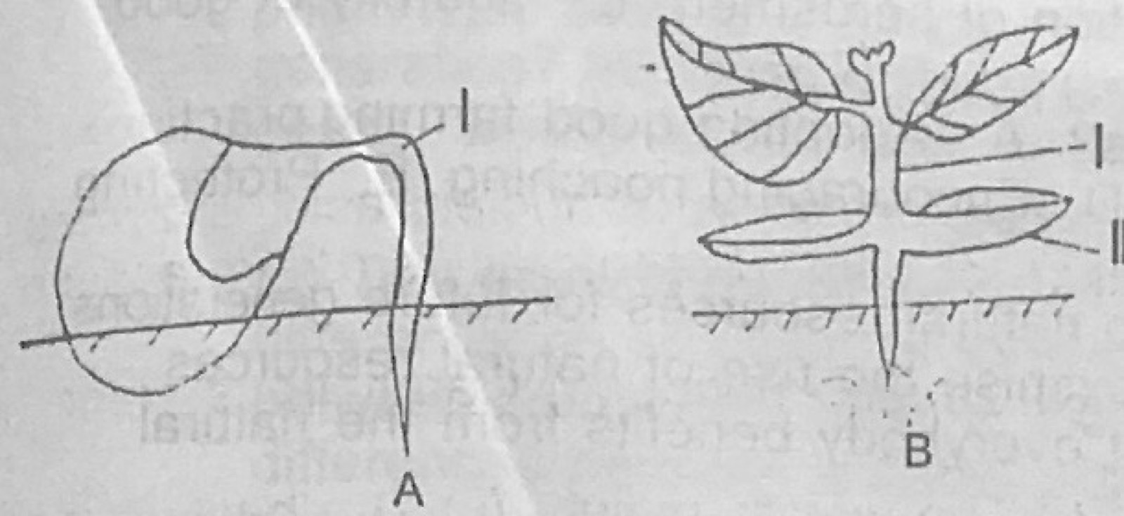 Diagram for this question