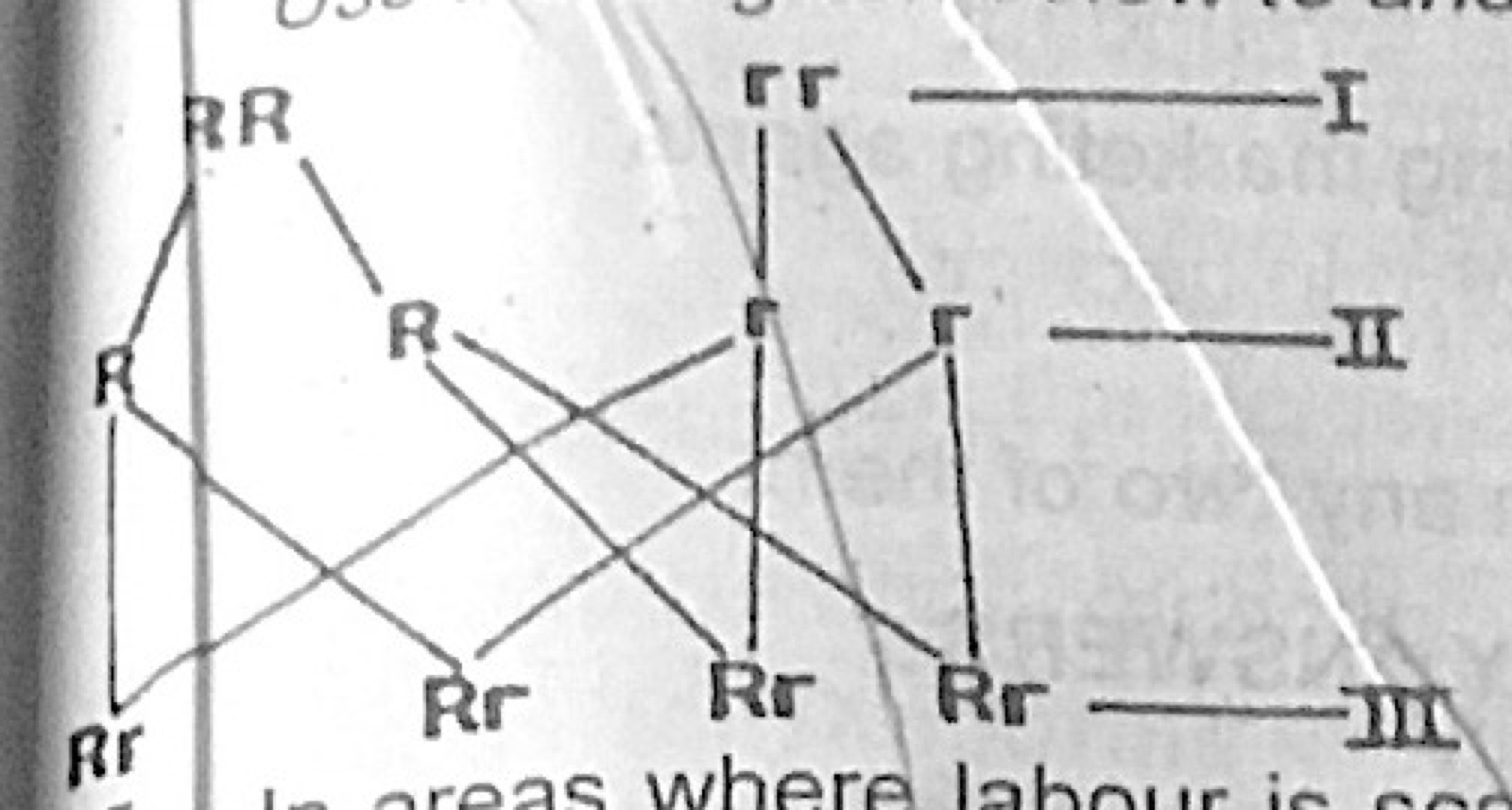 Diagram for this question