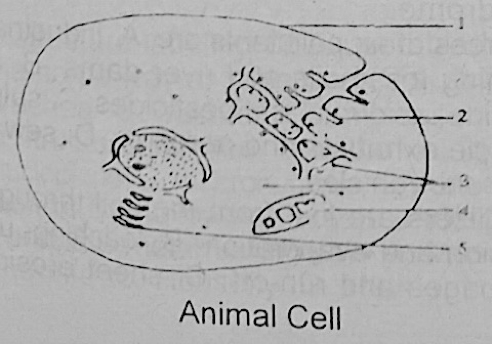 Diagram for this question