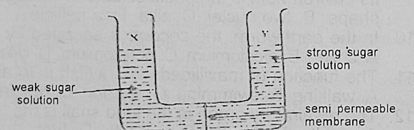 Diagram for this question