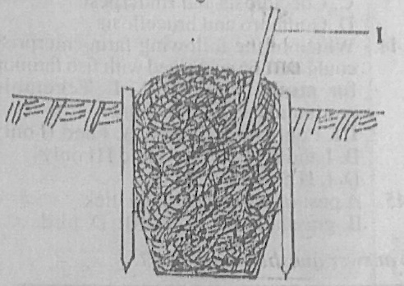 Diagram for this question