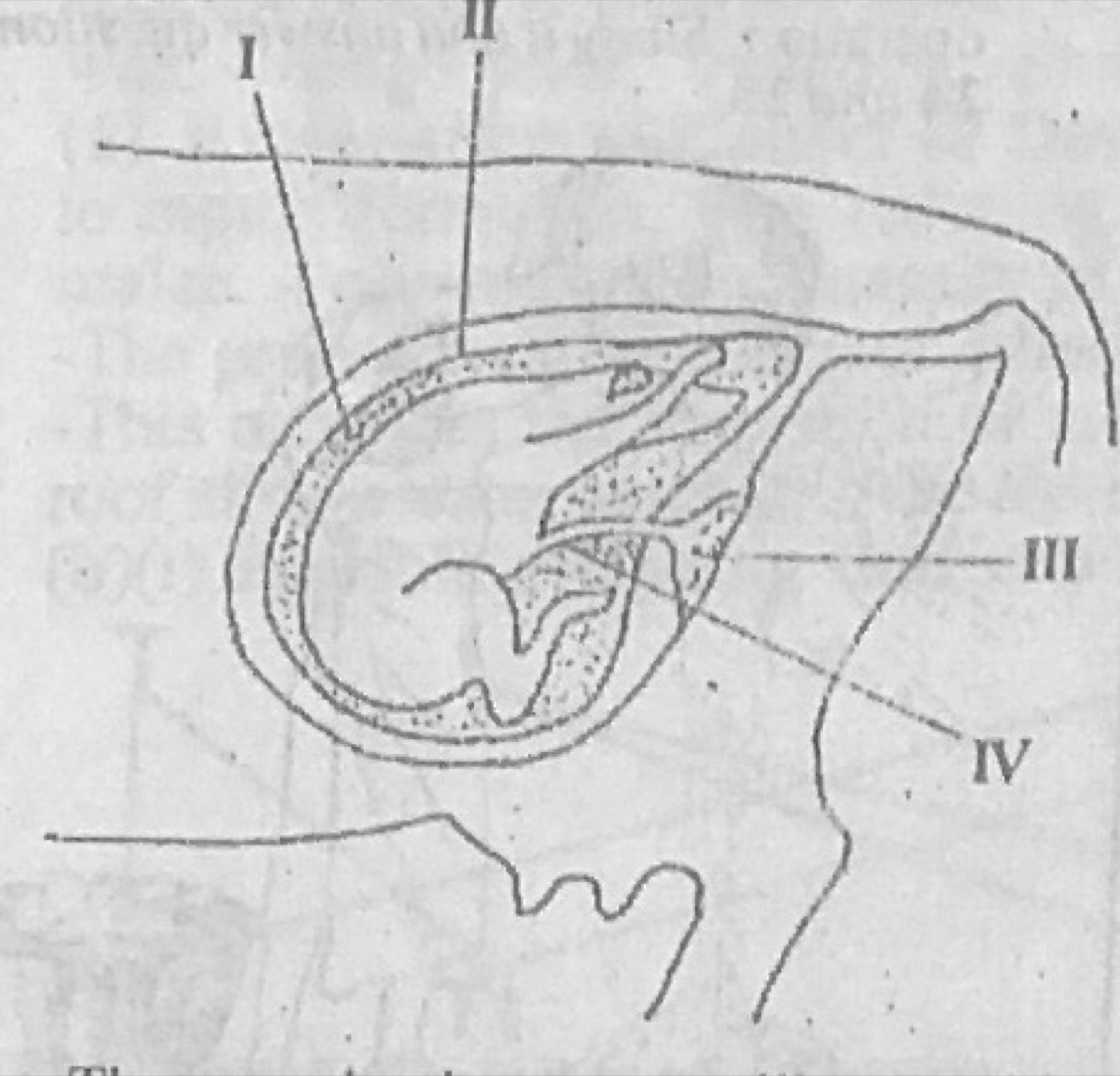 Diagram for this question