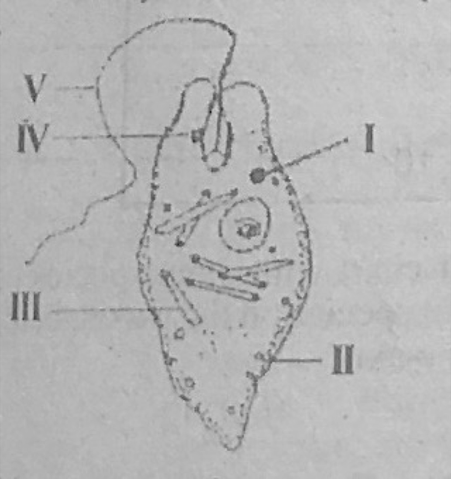 Diagram for this question