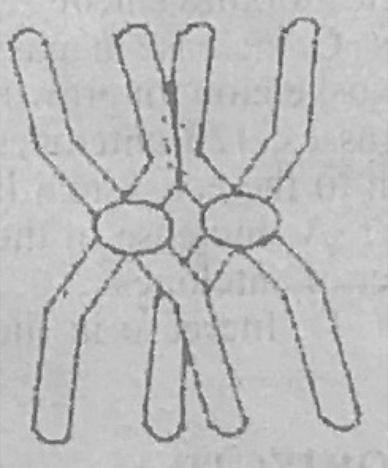 Diagram for this question
