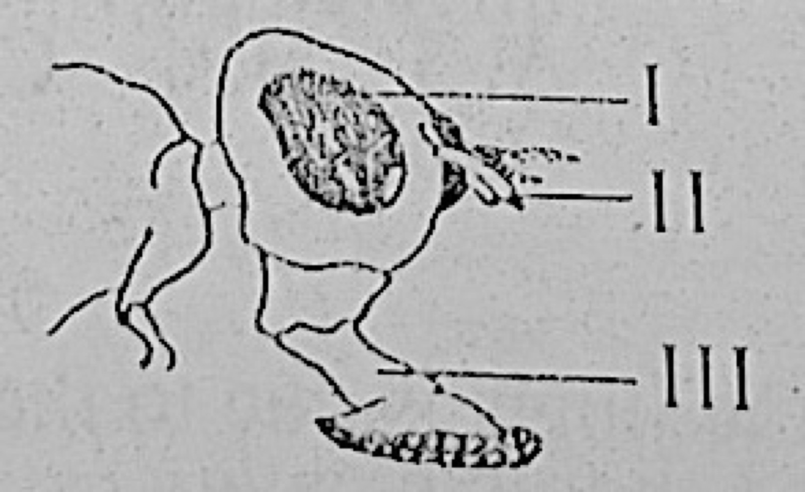 Diagram for this question