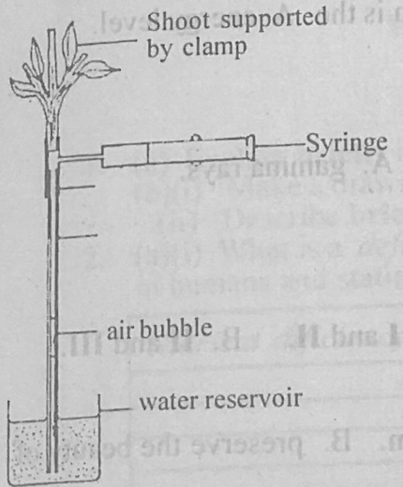 Diagram for this question