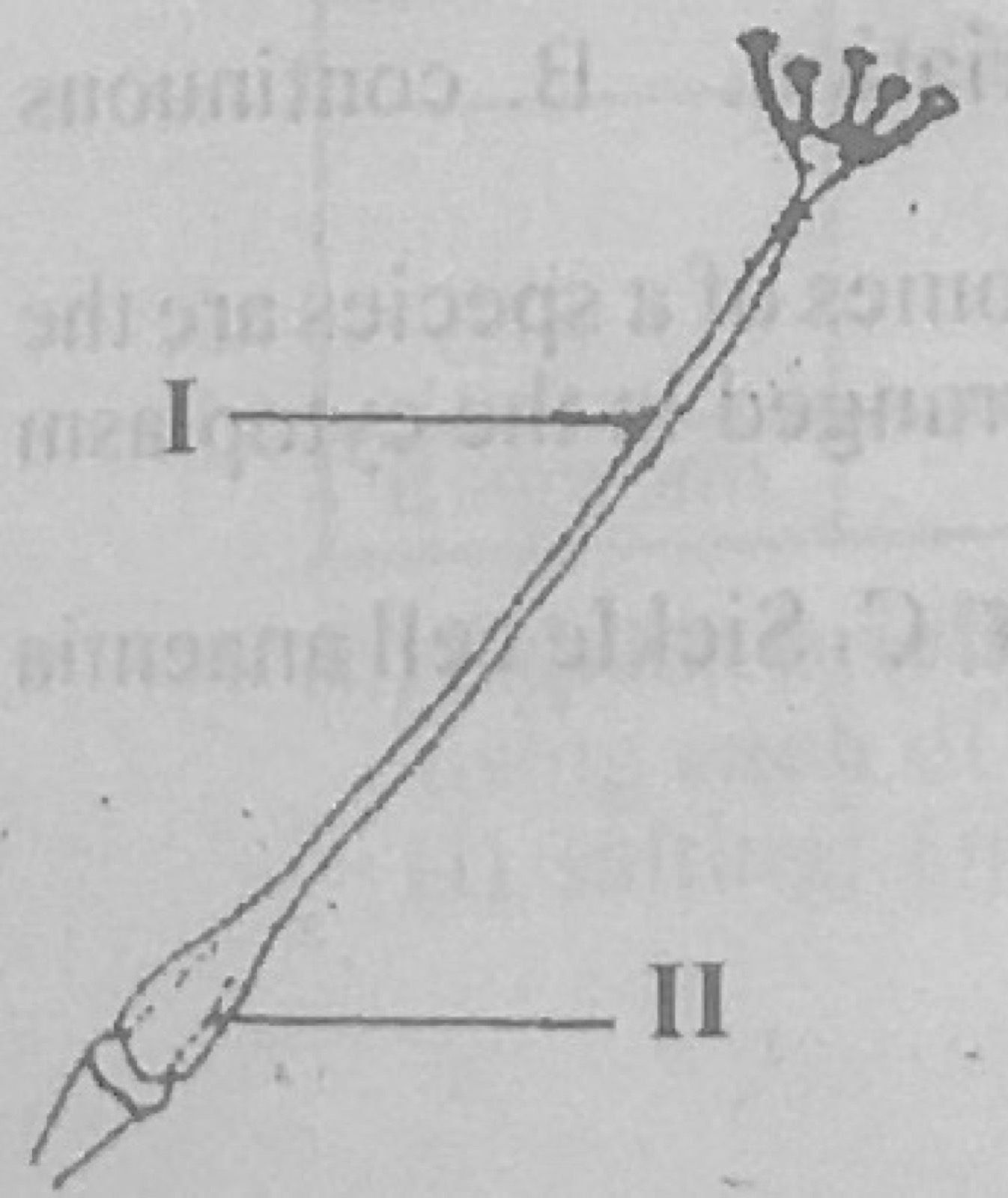 Diagram for this question