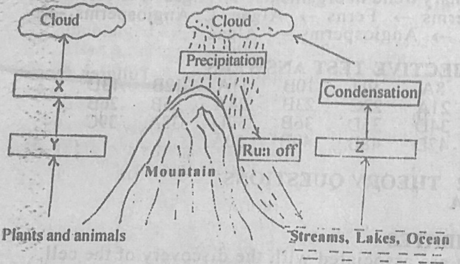 Diagram for this question