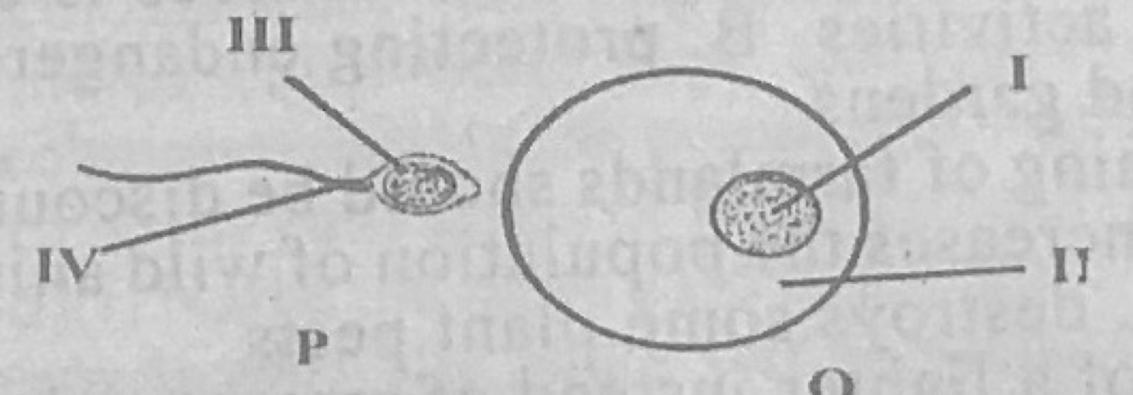 Diagram for this question