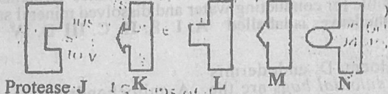 Diagram for this question