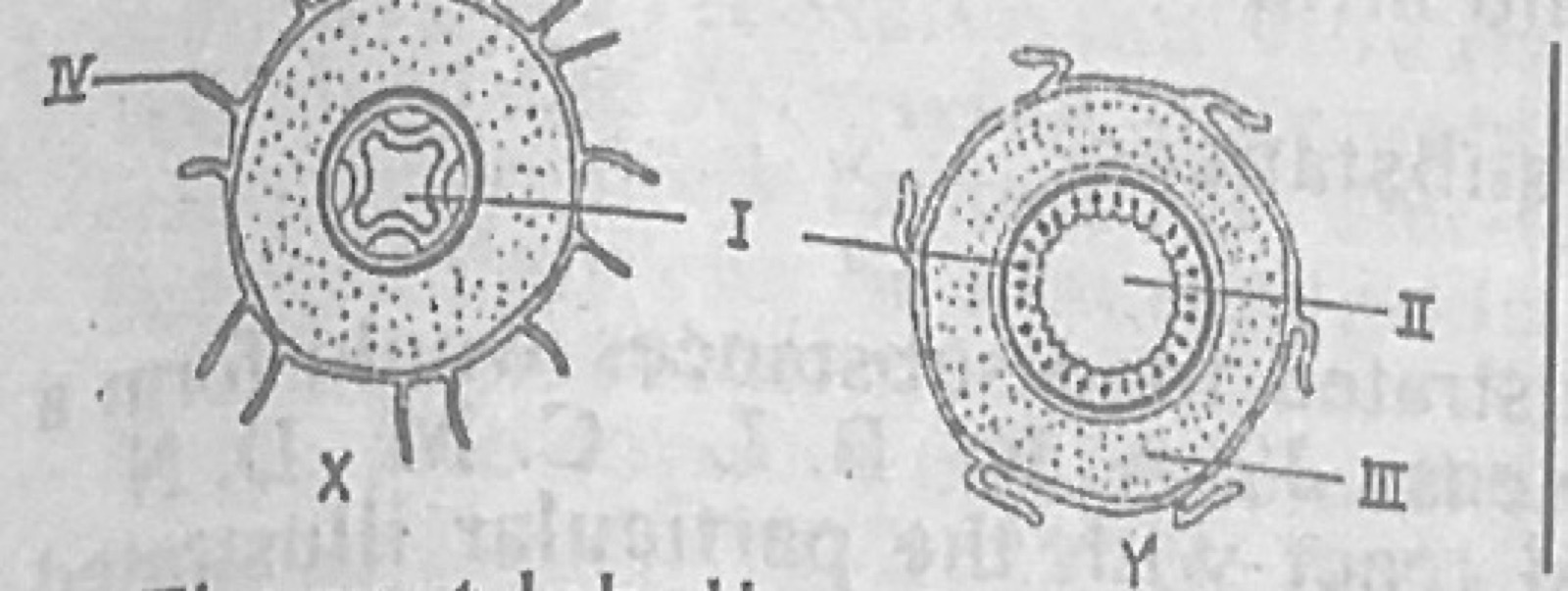 Diagram for this question