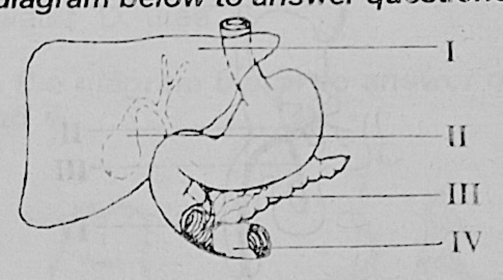Diagram for this question